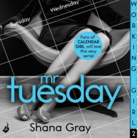 Working Girl: Mr Tuesday Audiobook