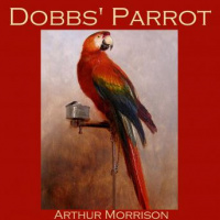 Dobbs Parrot Audiobook