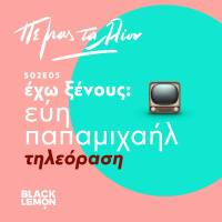 Έχω Ξένους: Εύη Παπαμιχαήλ / Τηλεόραση