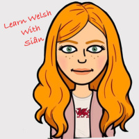 Television- talking about television and responding to statistics and expressing opinion on pictures