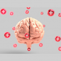 Futureproof Gold: The Science of Mind over Body