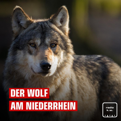 Radio K.w.-podcast