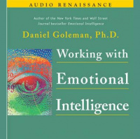 Working with Emotional Intelligence Audiobook