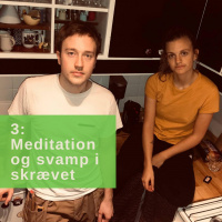 3: Meditation og svamp i skrævet