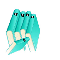 Resolución del caso