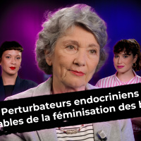 CORINNE LALO : un lien possible entre perturbateurs endocriniens et transgenrisme ?