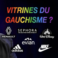 OLIVIER VIAL : vous consommez woke sans le savoir.