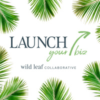 0 Ready to Launch Your Biz?