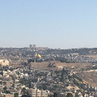 7. From Zionist to Palestinian Advocate: One Lawyers Journey