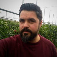 Una novela de misterios y encuentros inesperados, Gucu y la Sociedad Secreta