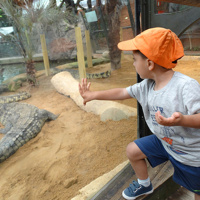 Proyecto Minilectores 01 - El pirata sin barco