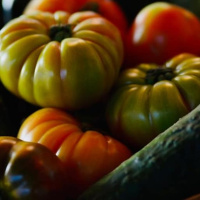 Menudo Castillo 433, ¡¡nos vamos de vacaciones!!