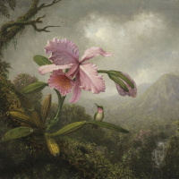 Ver un museo repleto de cuentos con La orquídea y el colibrí