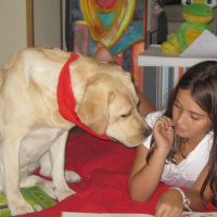 Menudo Castillo 378, conociendo el proyecto Perros y Letras