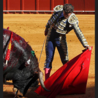 El torero Antonio Ferrera, hospitalizado tras caer de un puente del Río Guadiana