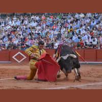 Onda Ruedo 4x01: El verano histórico de Morante de la Puebla y el resurgir de los toreros artistas