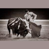 Onda Ruedo 2x13: El mundo del toro planta cara al coronavirus