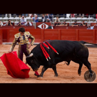 Onda Ruedo 2x03: Repasamos los triunfos de la temporada con Domingo López-Chaves