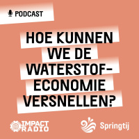Springtij Special 04 - Hoe kunnen we de waterstofeconomie versnellen?
