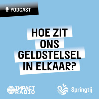 Springtij Special 03 - Hoe zit ons geldstelsel in elkaar?