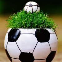 La era del Neurofútbol