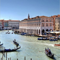 Venecia garpa