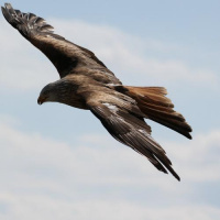 Turismo de naturaleza