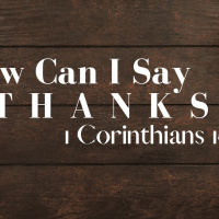 Grace Apostolic 11222020