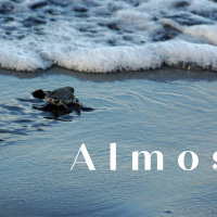 Grace Apostolic 05062020