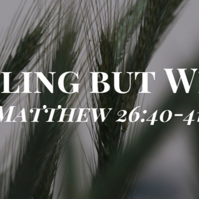 Grace Apostolic Messages