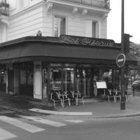 Еще Одна История Про Птичек