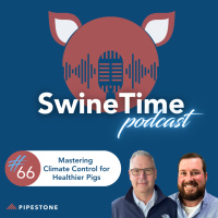 Episode #66: Mastering Climate Control for Healthier Pigs