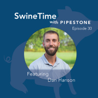 Meticulous Design, Execution and Analysis of Swine Research