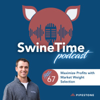 Episode #67: Maximize Profits with Market Sales amp Selection