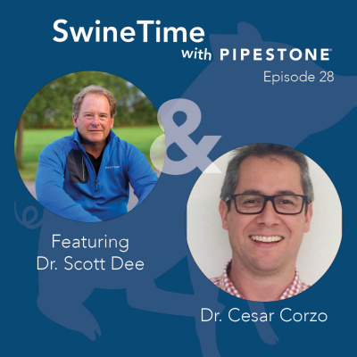 Pipestone Veterinary Services Swine Time Podcast