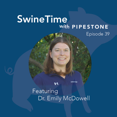 Pipestone Veterinary Services Swine Time Podcast