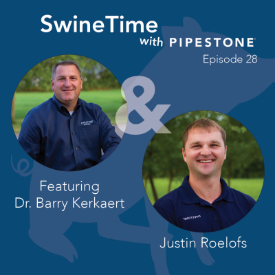 Pipestone Veterinary Services Swine Time Podcast