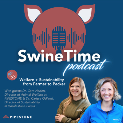 Pipestone Veterinary Services Swine Time Podcast