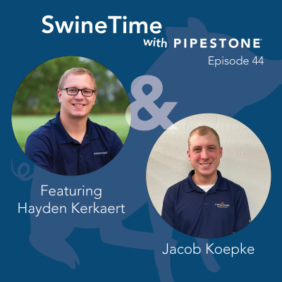 Pipestone Veterinary Services Swine Time Podcast