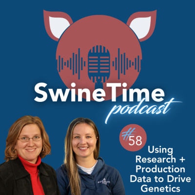 Pipestone Veterinary Services Swine Time Podcast