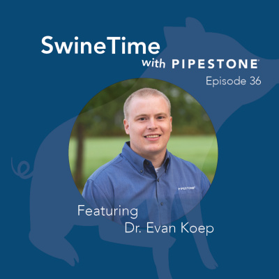 Pipestone Veterinary Services Swine Time Podcast