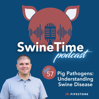 Pipestone Veterinary Services Swine Time Podcast