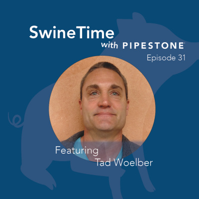 Pipestone Veterinary Services Swine Time Podcast