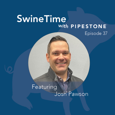 Pipestone Veterinary Services Swine Time Podcast