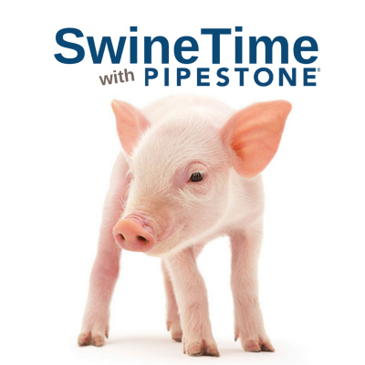 Pipestone Veterinary Services Swine Time Podcast