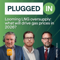 Looming LNG oversupply: what will drive gas prices in 2026?