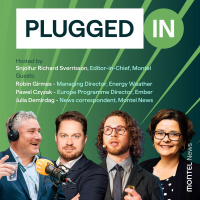 Heatwave raises red flags for power market