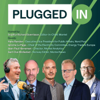 Complex and volatile - 15-minute power auctions start