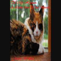 To My Human: A Letter from Your Queen Audiobook