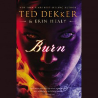 Burn: Audio Book Audiobook